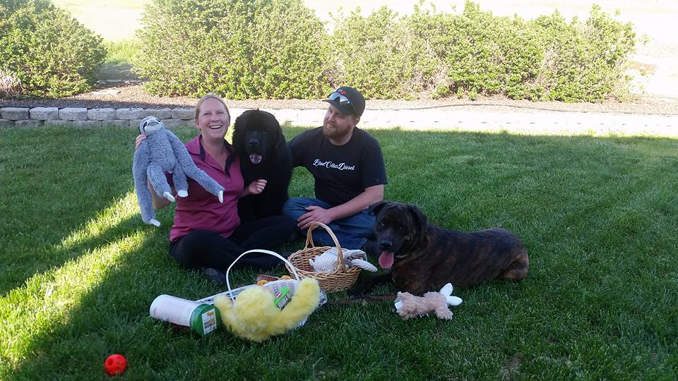 Treats for Studio Dogs