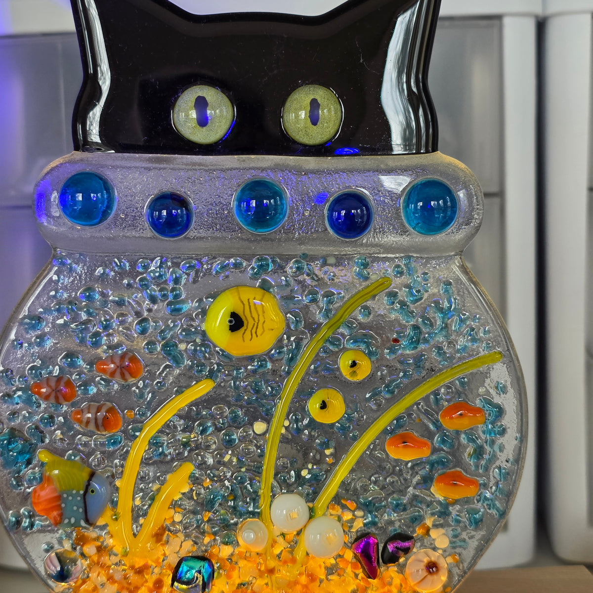 Kitty in a Fishbowl