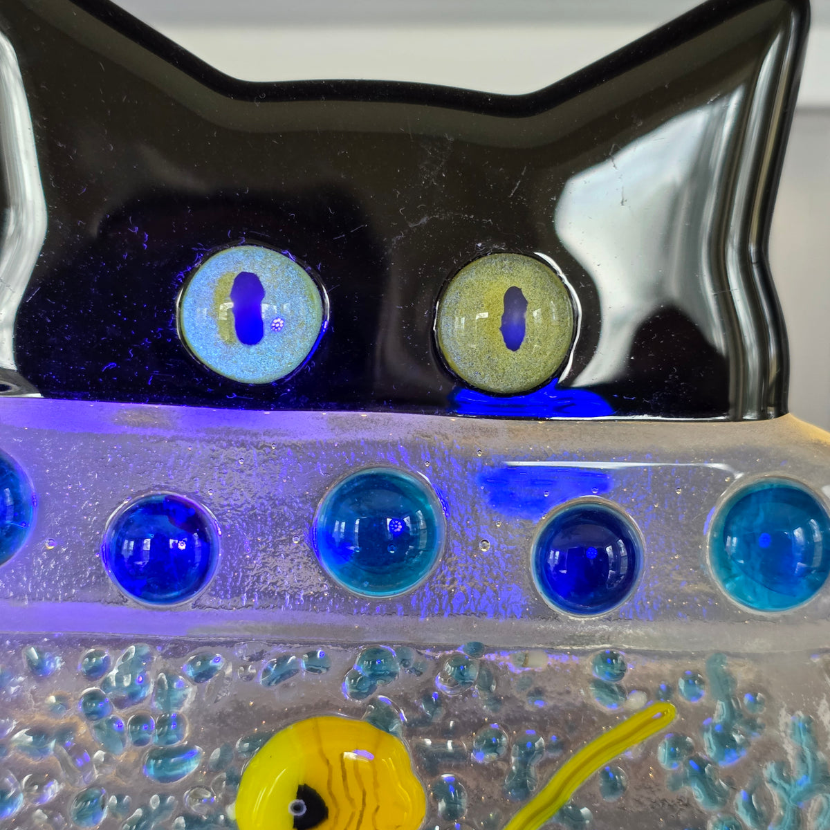 Kitty in a Fishbowl